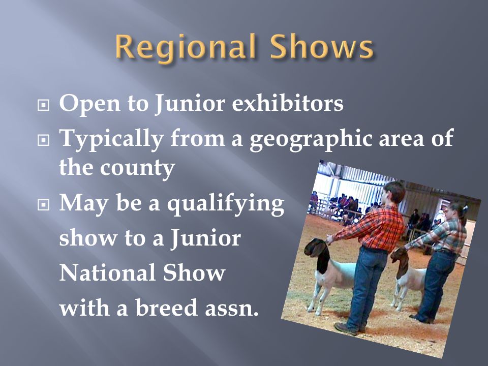  Open to Junior exhibitors  Typically from a geographic area of the county  May be a qualifying show to a Junior National Show with a breed assn.