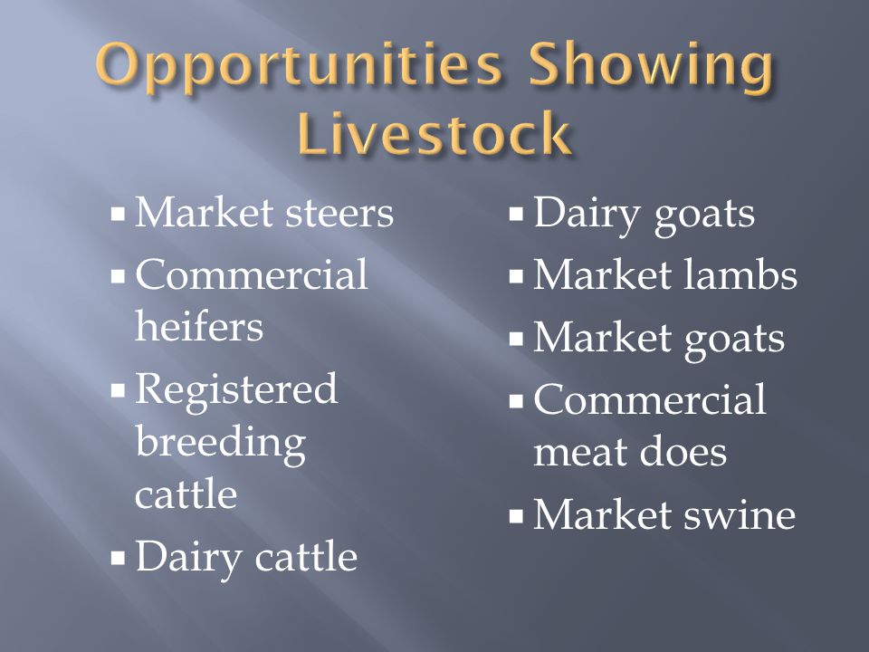  Market steers  Commercial heifers  Registered breeding cattle  Dairy cattle  Dairy goats  Market lambs  Market goats  Commercial meat does  Market swine