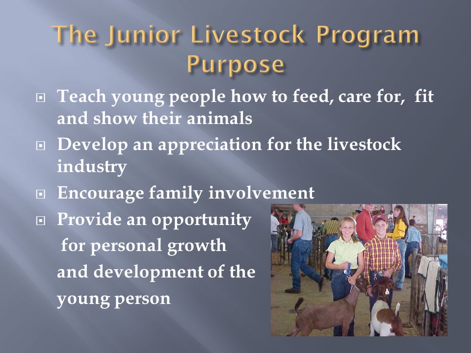  Teach young people how to feed, care for, fit and show their animals  Develop an appreciation for the livestock industry  Encourage family involvement  Provide an opportunity for personal growth and development of the young person