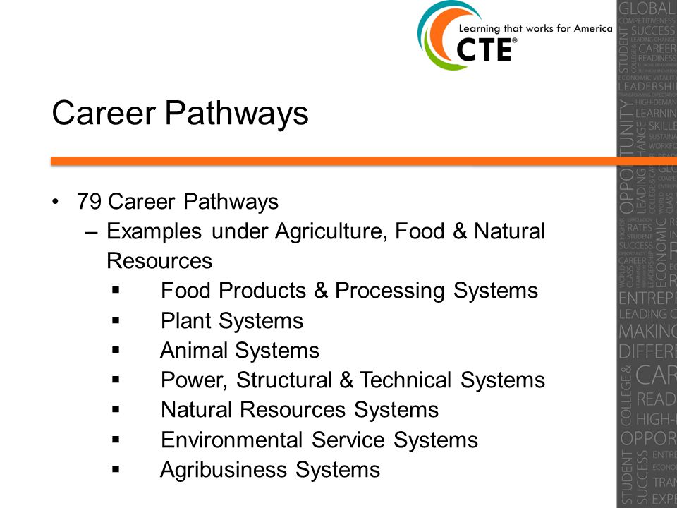 Career Pathways 79 Career Pathways –Examples under Agriculture, Food & Natural Resources  Food Products & Processing Systems  Plant Systems  Animal Systems  Power, Structural & Technical Systems  Natural Resources Systems  Environmental Service Systems  Agribusiness Systems