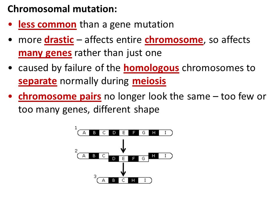 Gene Mutations Worksheet Rups Printables Worksheets Worksheets Gene Mutations Worksheet Hw 68 Practice With Punnett Squares 4 Skip Warm Chromosomal Mutation