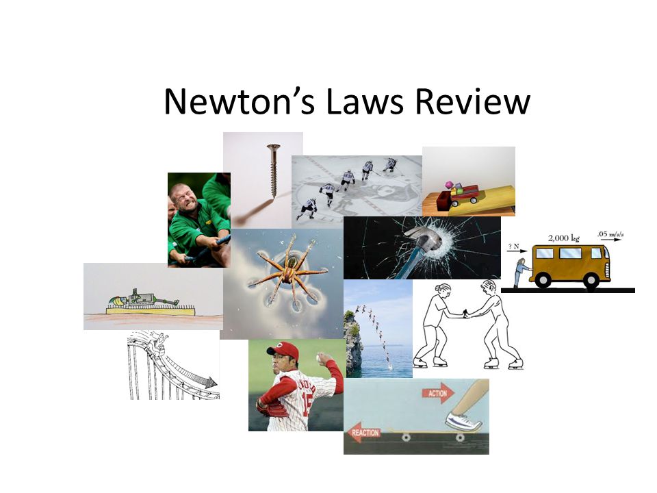 Newton’s Laws Review
