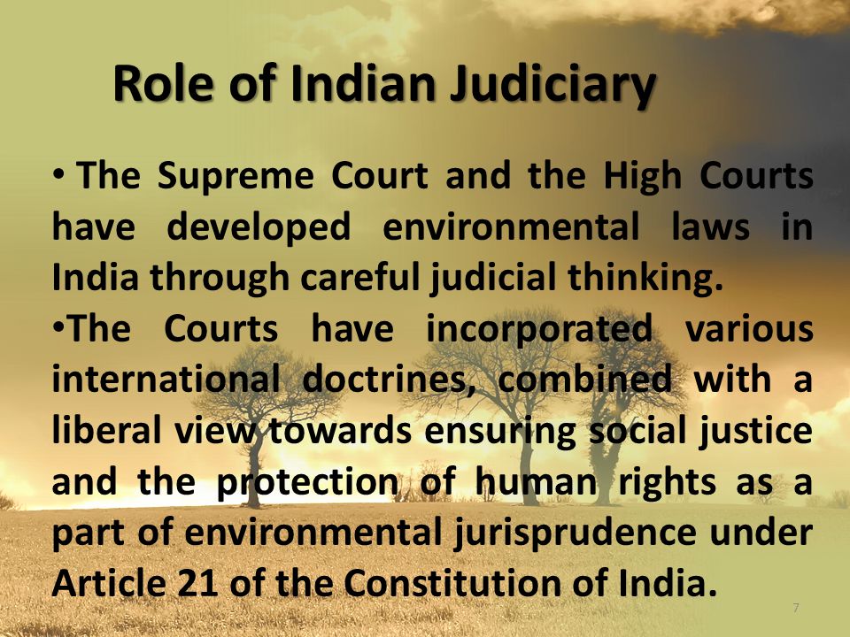 environmental laws of india environmental laws of india