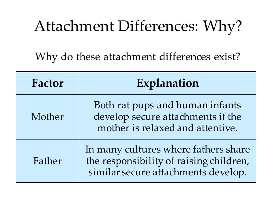 Attachment Differences: Why. Why do these attachment differences exist.