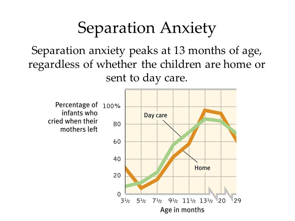 Separation Anxiety Separation anxiety peaks at 13 months of age, regardless of whether the children are home or sent to day care.