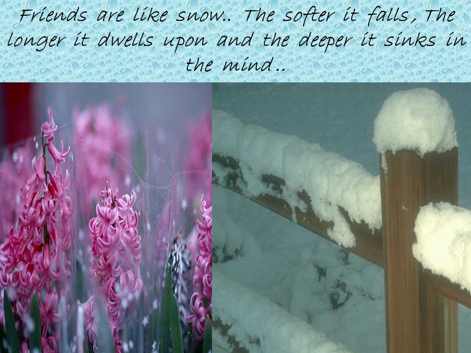 Friends are like snow..