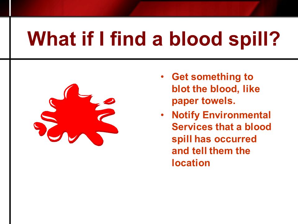 What if I find a blood spill. Get something to blot the blood, like paper towels.