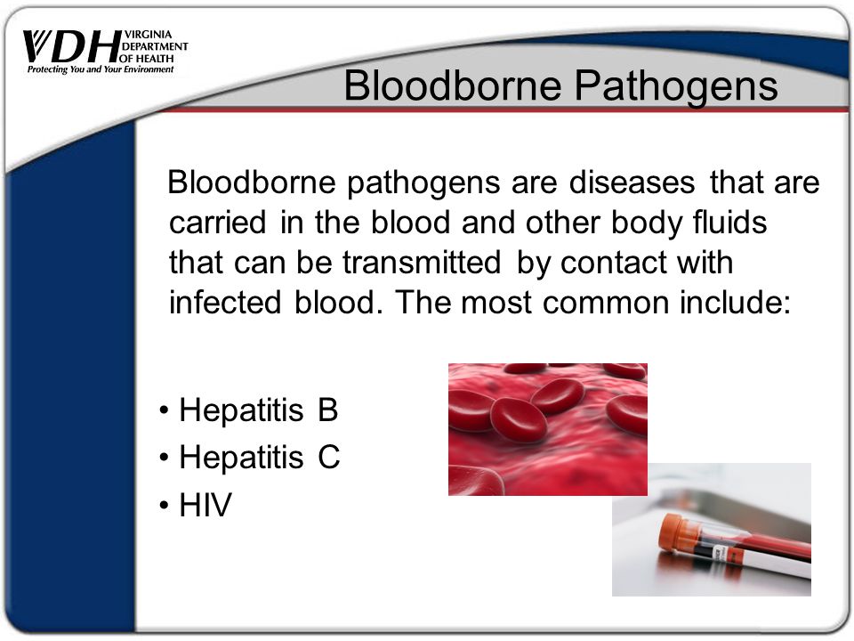 Bloodborne pathogens are diseases that are carried in the blood and other body fluids that can be transmitted by contact with infected blood.