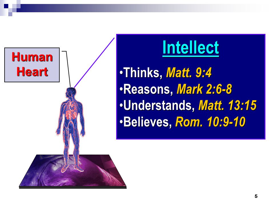 5 Human Heart Intellect Thinks, Matt. 9:4 Thinks, Matt.