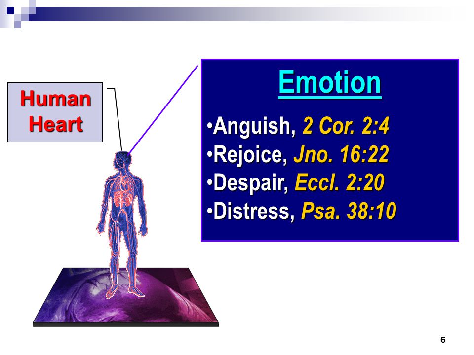 6 Human Heart Emotion Anguish, 2 Cor. 2:4 Anguish, 2 Cor.