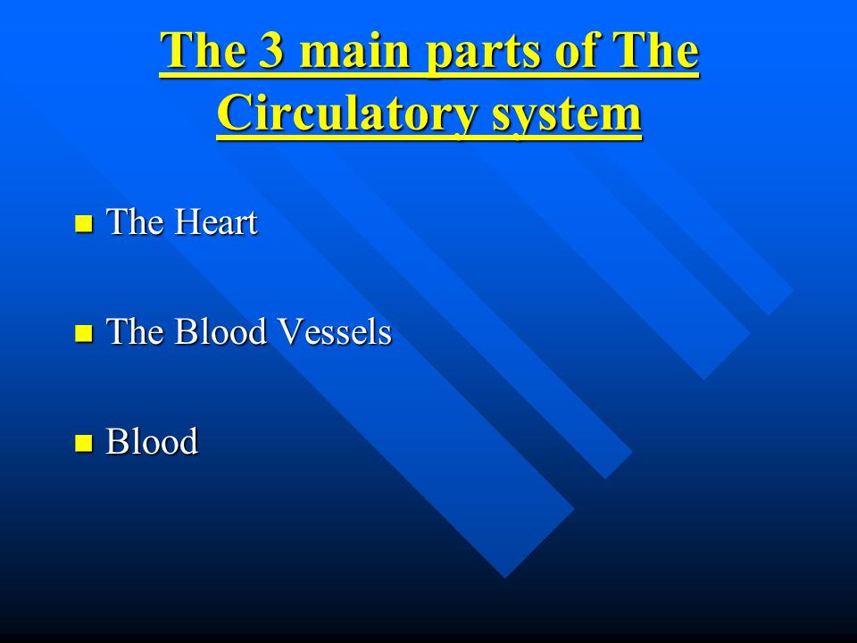 The 3 main parts of The Circulatory system The Heart The Heart The Blood Vessels The Blood Vessels Blood Blood