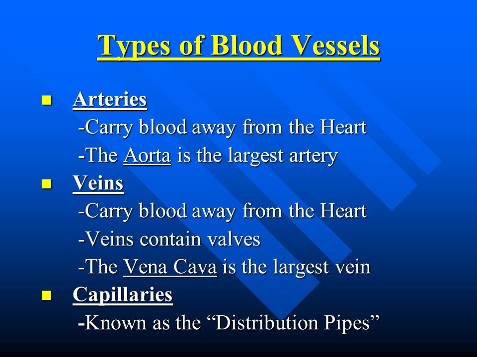 Types of Blood Vessels Arteries Arteries -Carry blood away from the Heart -Carry blood away from the Heart -The Aorta is the largest artery -The Aorta is the largest artery Veins Veins -Carry blood away from the Heart -Carry blood away from the Heart -Veins contain valves -Veins contain valves -The Vena Cava is the largest vein -The Vena Cava is the largest vein Capillaries Capillaries -Known as the Distribution Pipes -Known as the Distribution Pipes