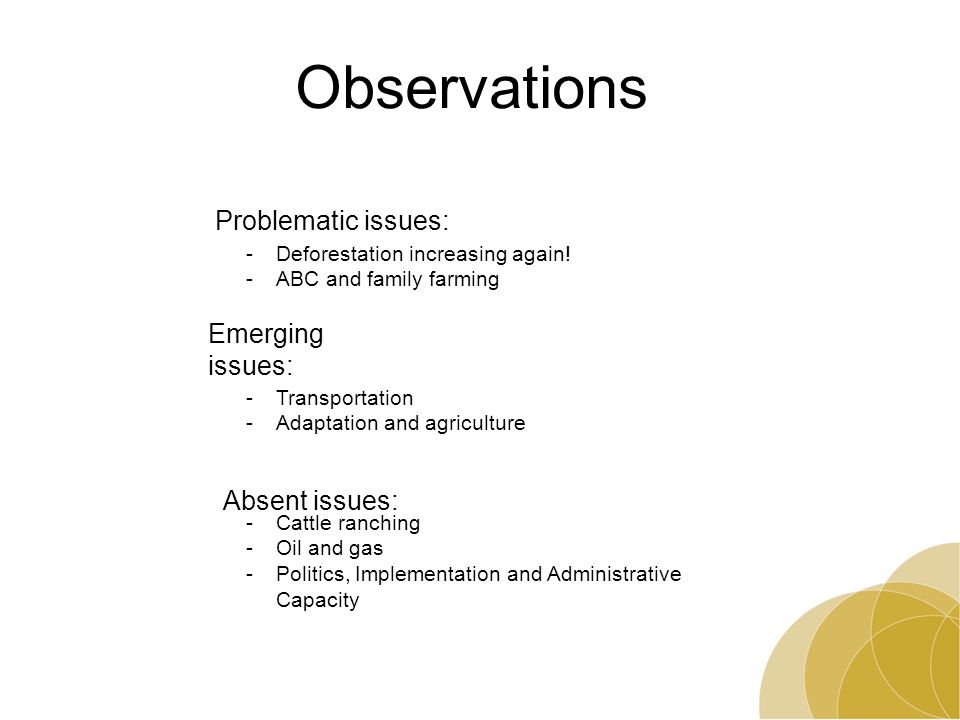 Observations Emerging issues: Absent issues: -Transportation -Adaptation and agriculture -Cattle ranching -Oil and gas -Politics, Implementation and Administrative Capacity Problematic issues: -Deforestation increasing again.