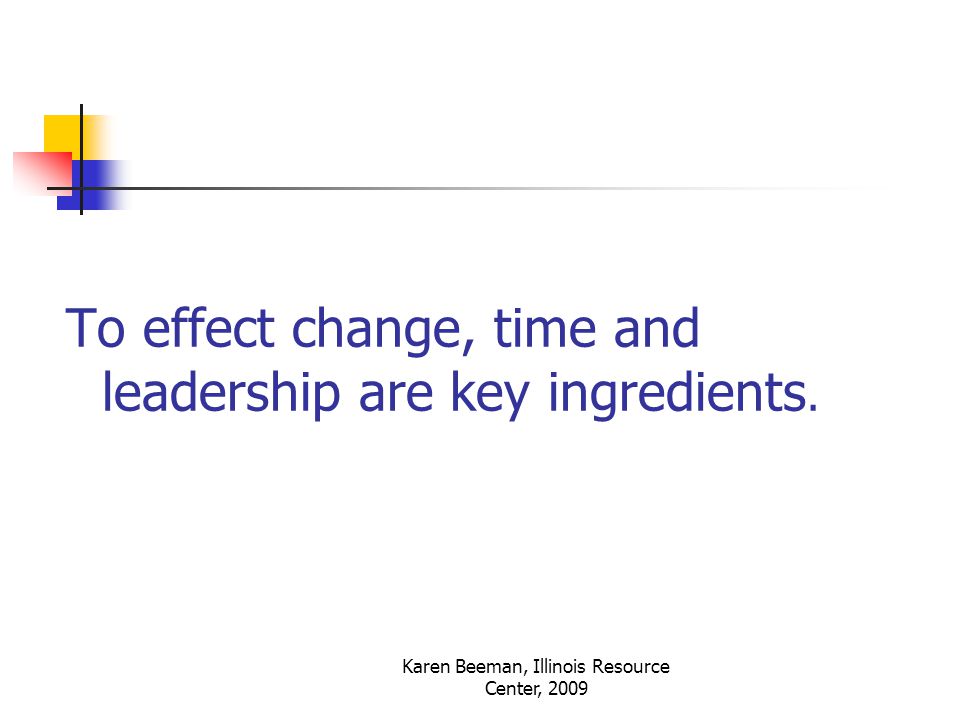 Karen Beeman, Illinois Resource Center, 2009 To effect change, time and leadership are key ingredients.