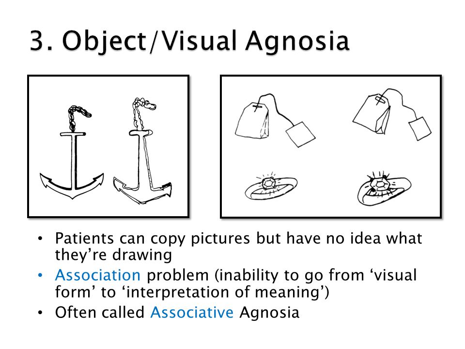 lecturer dr lucy patston lecture slides lundy chapter 16 visual form agnosia