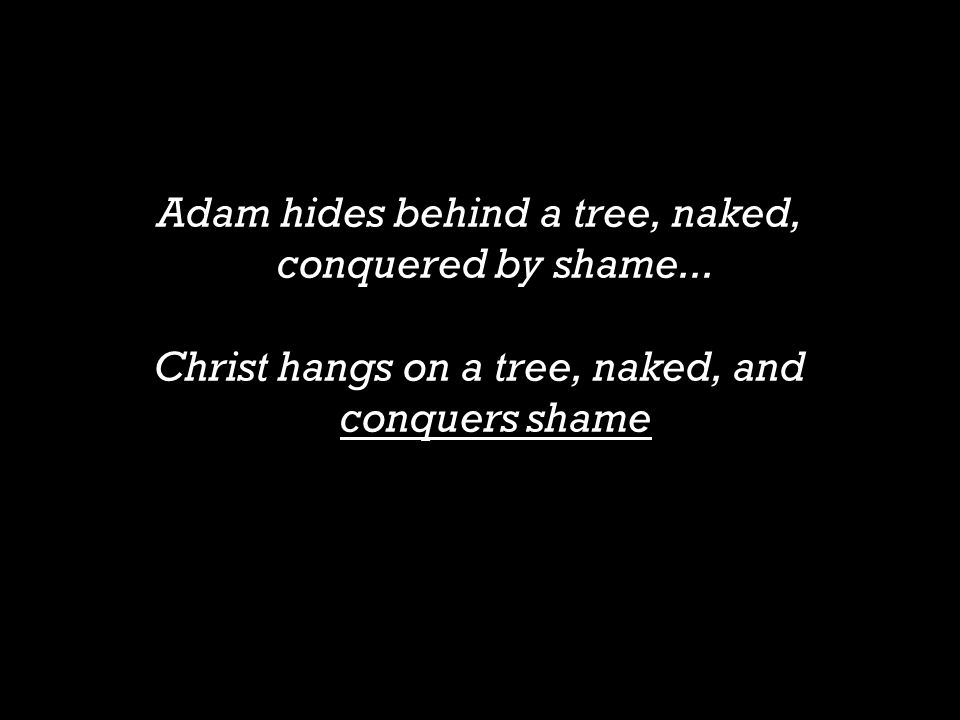 Adam hides behind a tree, naked, conquered by shame...