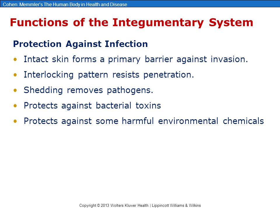 Copyright © 2013 Wolters Kluwer Health | Lippincott Williams & Wilkins Cohen: Memmler’s The Human Body in Health and Disease Functions of the Integumentary System Protection Against Infection Intact skin forms a primary barrier against invasion.