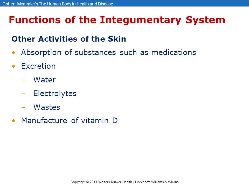 Copyright © 2013 Wolters Kluwer Health | Lippincott Williams & Wilkins Cohen: Memmler’s The Human Body in Health and Disease Functions of the Integumentary System Other Activities of the Skin Absorption of substances such as medications Excretion –Water –Electrolytes –Wastes Manufacture of vitamin D