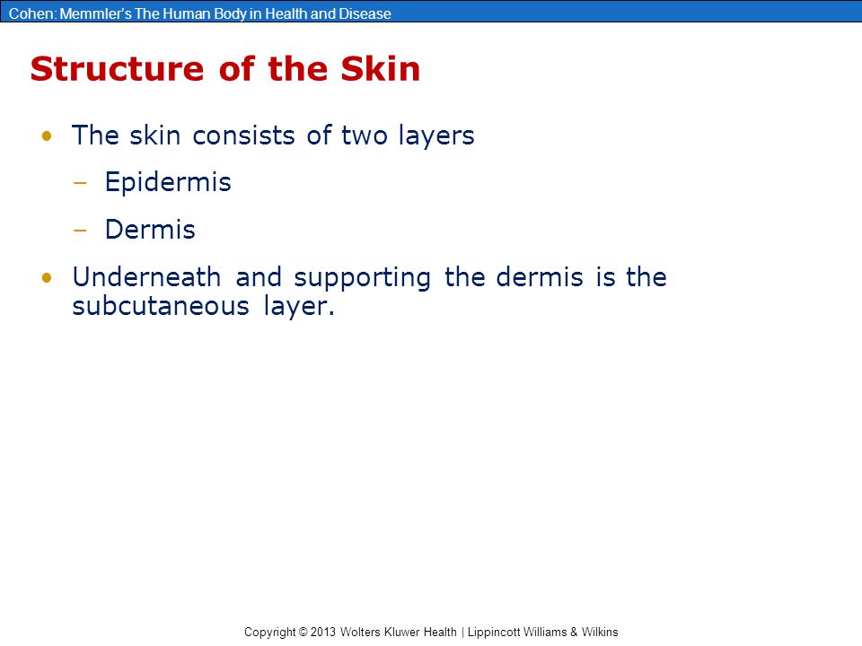 Copyright © 2013 Wolters Kluwer Health | Lippincott Williams & Wilkins Cohen: Memmler’s The Human Body in Health and Disease Structure of the Skin The skin consists of two layers –Epidermis –Dermis Underneath and supporting the dermis is the subcutaneous layer.