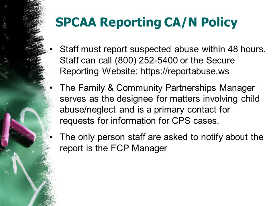 SPCAA Reporting CA/N Policy Staff must report suspected abuse within 48 hours.