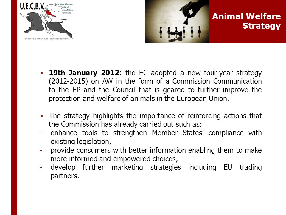  19th January 2012: the EC adopted a new four-year strategy ( ) on AW in the form of a Commission Communication to the EP and the Council that is geared to further improve the protection and welfare of animals in the European Union.