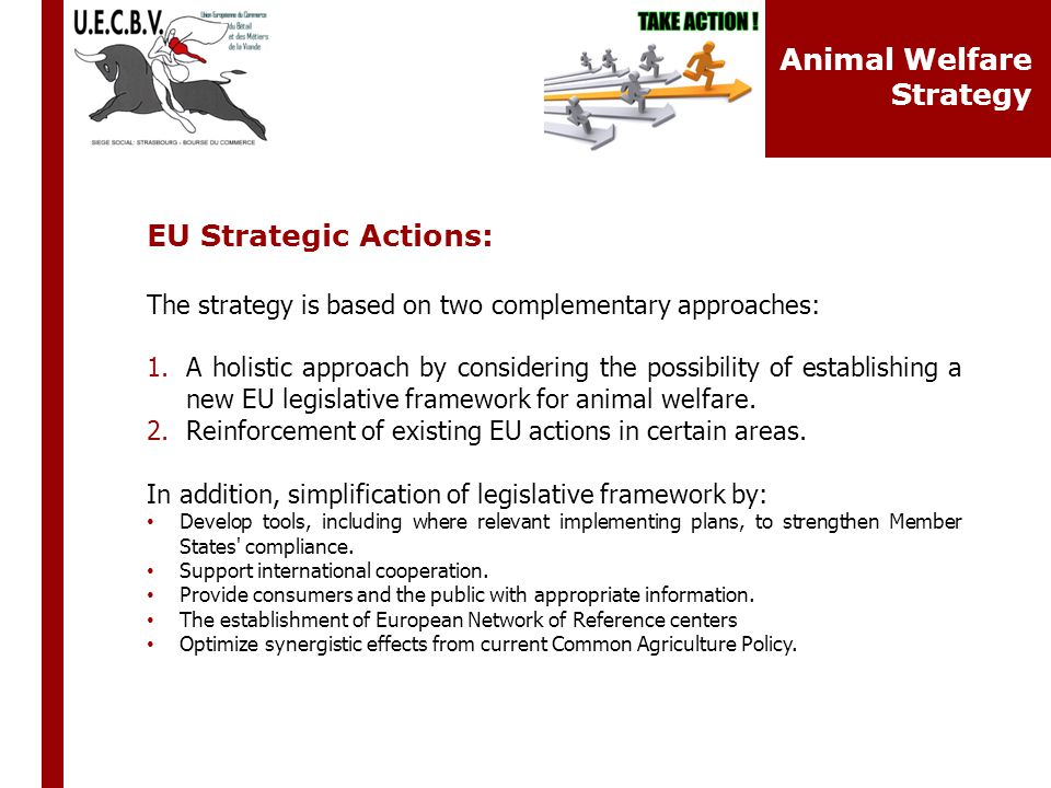 EU Strategic Actions: The strategy is based on two complementary approaches: 1.A holistic approach by considering the possibility of establishing a new EU legislative framework for animal welfare.