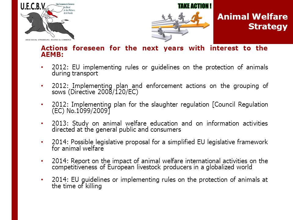 Actions foreseen for the next years with interest to the AEMB: 2012: EU implementing rules or guidelines on the protection of animals during transport 2012: Implementing plan and enforcement actions on the grouping of sows (Directive 2008/120/EC) 2012: Implementing plan for the slaughter regulation [Council Regulation (EC) No.1099/2009] 2013: Study on animal welfare education and on information activities directed at the general public and consumers 2014: Possible legislative proposal for a simplified EU legislative framework for animal welfare 2014: Report on the impact of animal welfare international activities on the competitiveness of European livestock producers in a globalized world 2014: EU guidelines or implementing rules on the protection of animals at the time of killing nimal Welfare Animal Welfare Strategy
