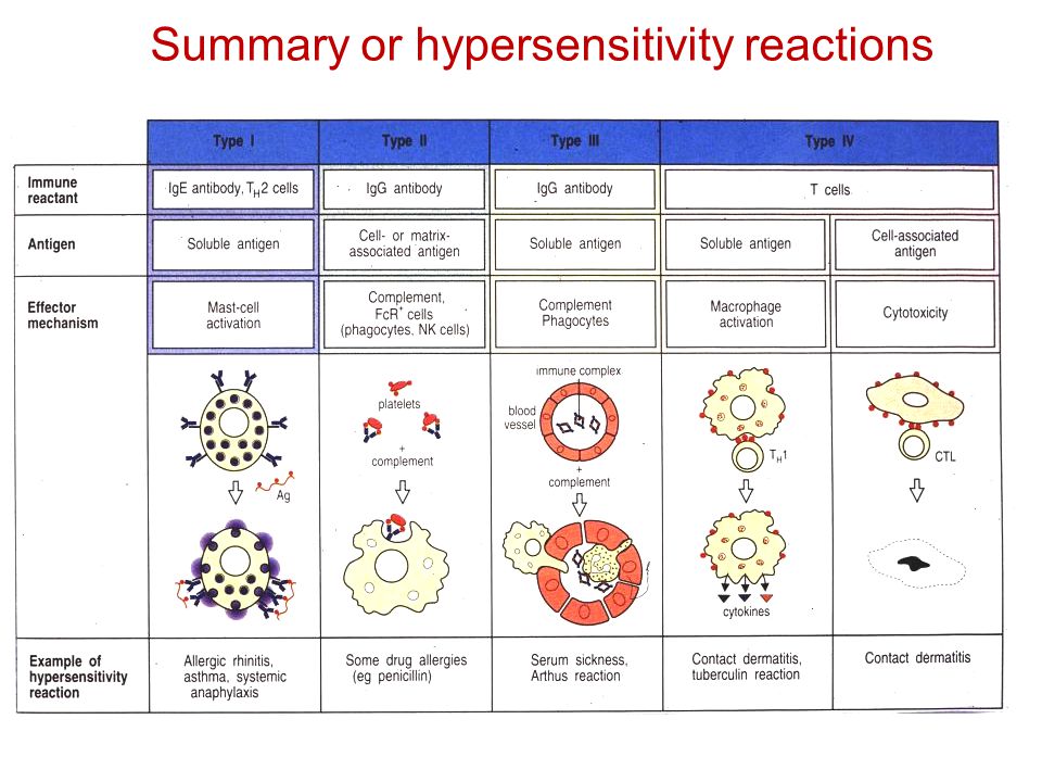 hypersensitivity reaction