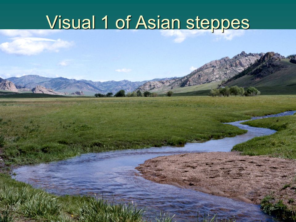Visual 1 of Asian steppes