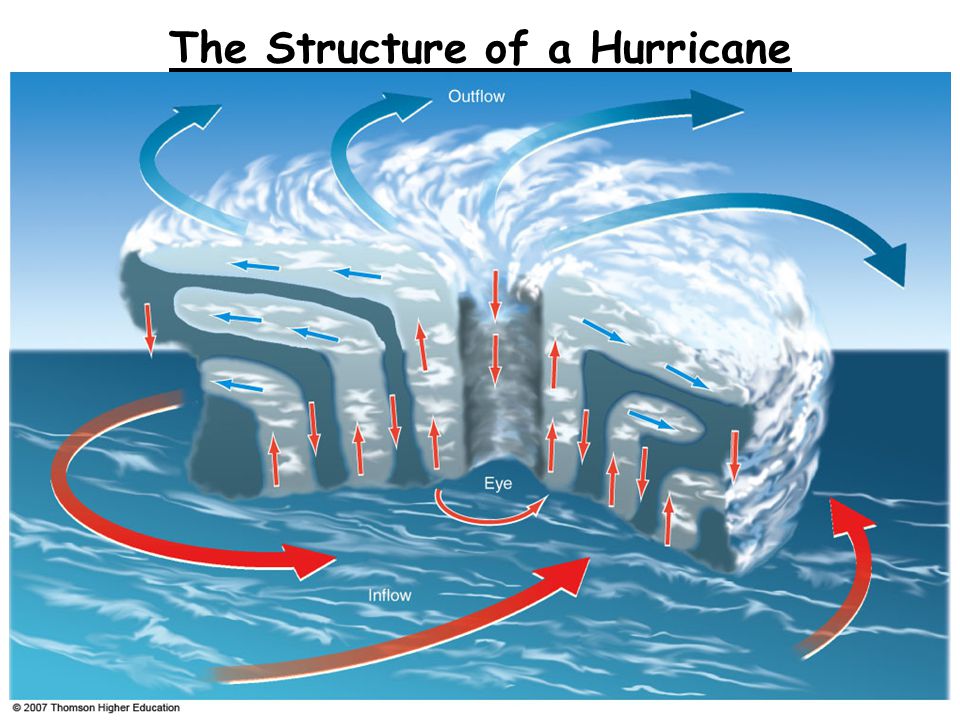 The Structure of a Hurricane