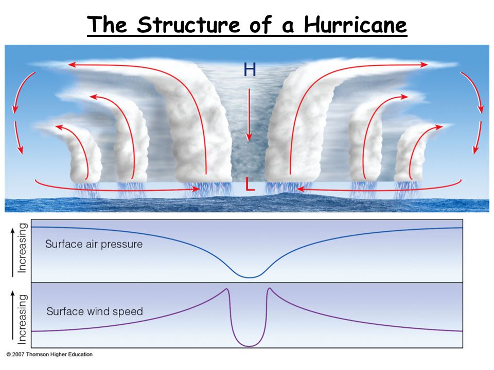 The Structure of a Hurricane