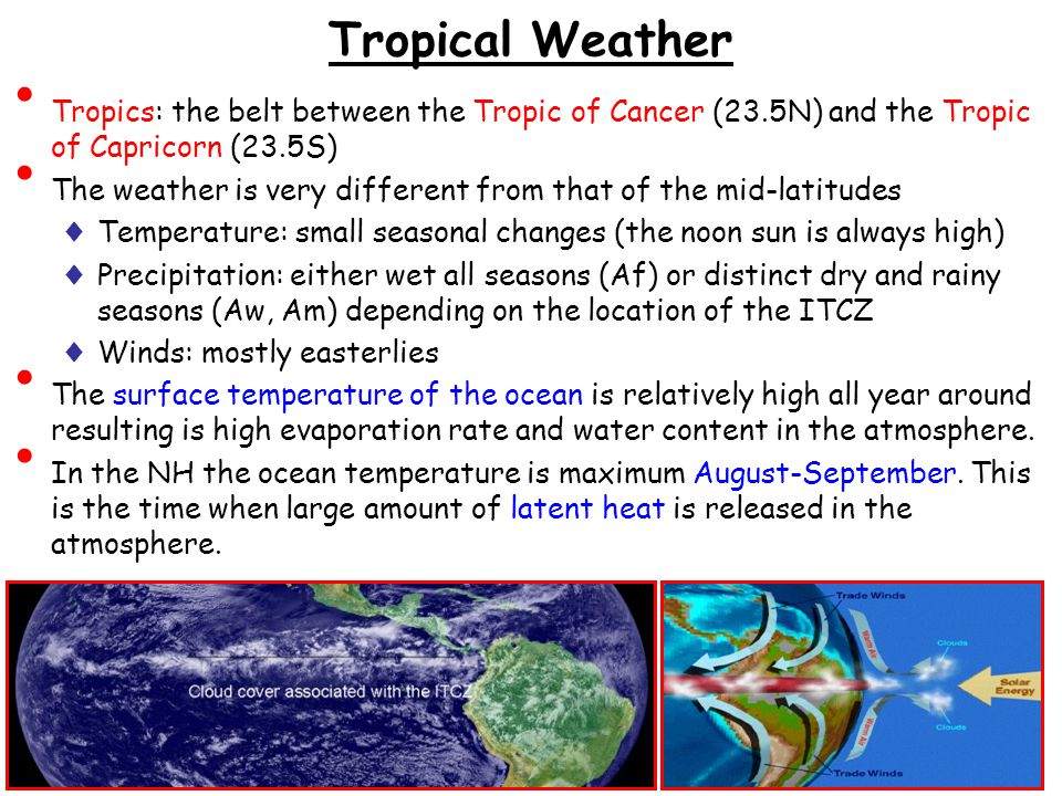 Tropical Weather Tropics: the belt between the Tropic of Cancer (23.5N) and the Tropic of Capricorn (23.5S) The weather is very different from that of the mid-latitudes ♦ Temperature: small seasonal changes (the noon sun is always high) ♦ Precipitation: either wet all seasons (Af) or distinct dry and rainy seasons (Aw, Am) depending on the location of the ITCZ ♦ Winds: mostly easterlies The surface temperature of the ocean is relatively high all year around resulting is high evaporation rate and water content in the atmosphere.