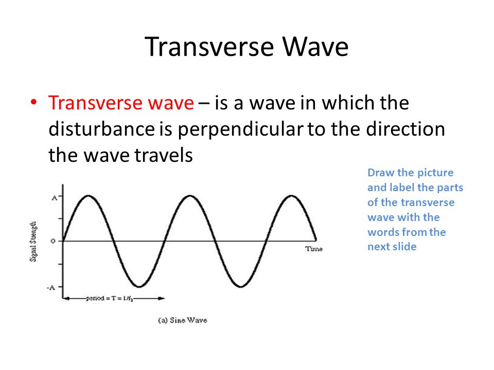 Transverse Wave Transverse wave – is a wave in which the disturbance is perpendicular to the direction the wave travels Draw the picture and label the parts of the transverse wave with the words from the next slide