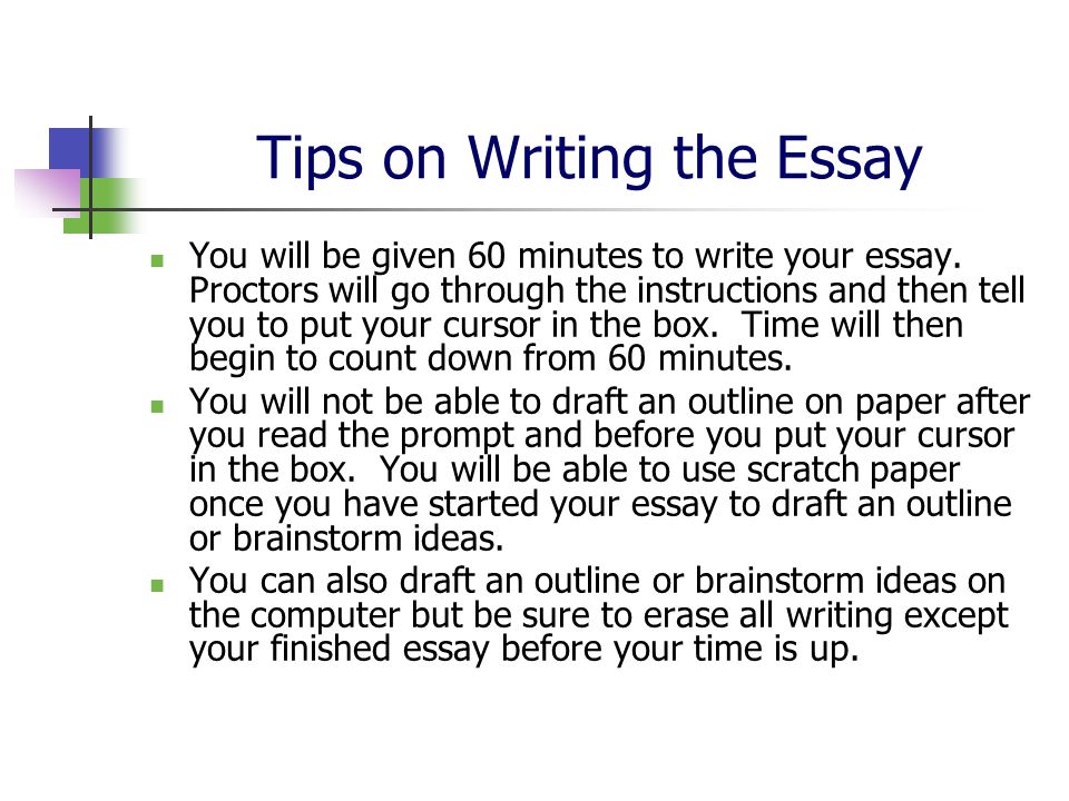 essay question instructions essay question instructions