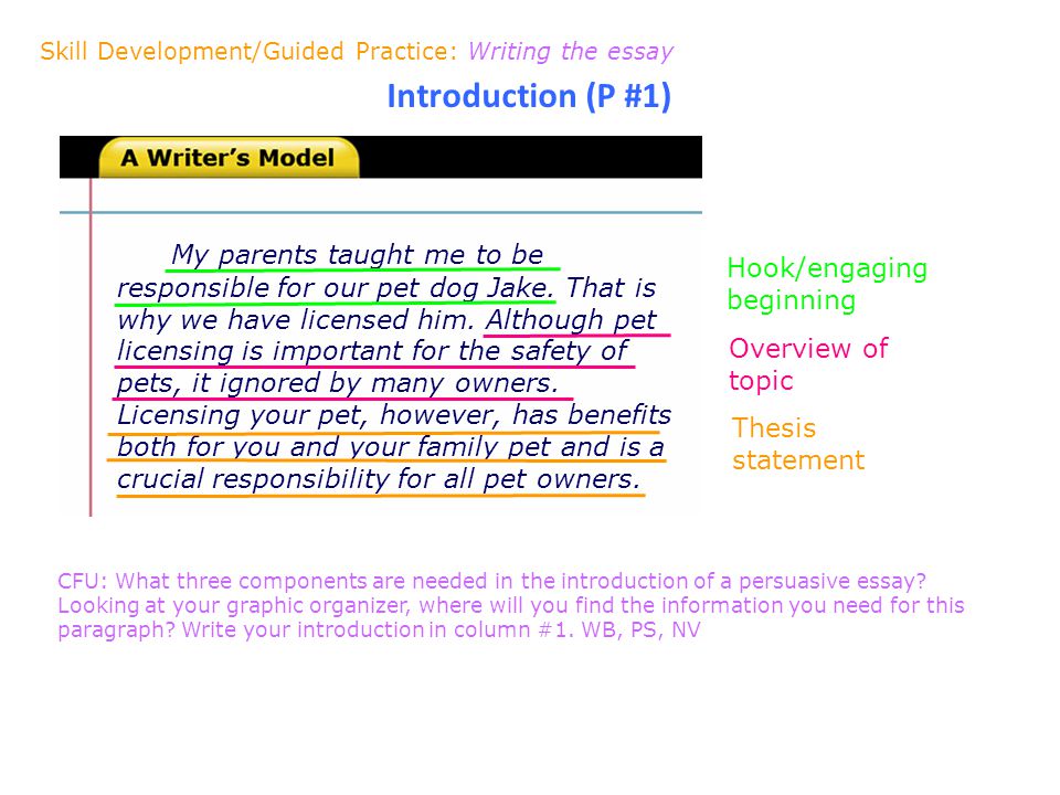 write persuasive essay environment write persuasive essay environment