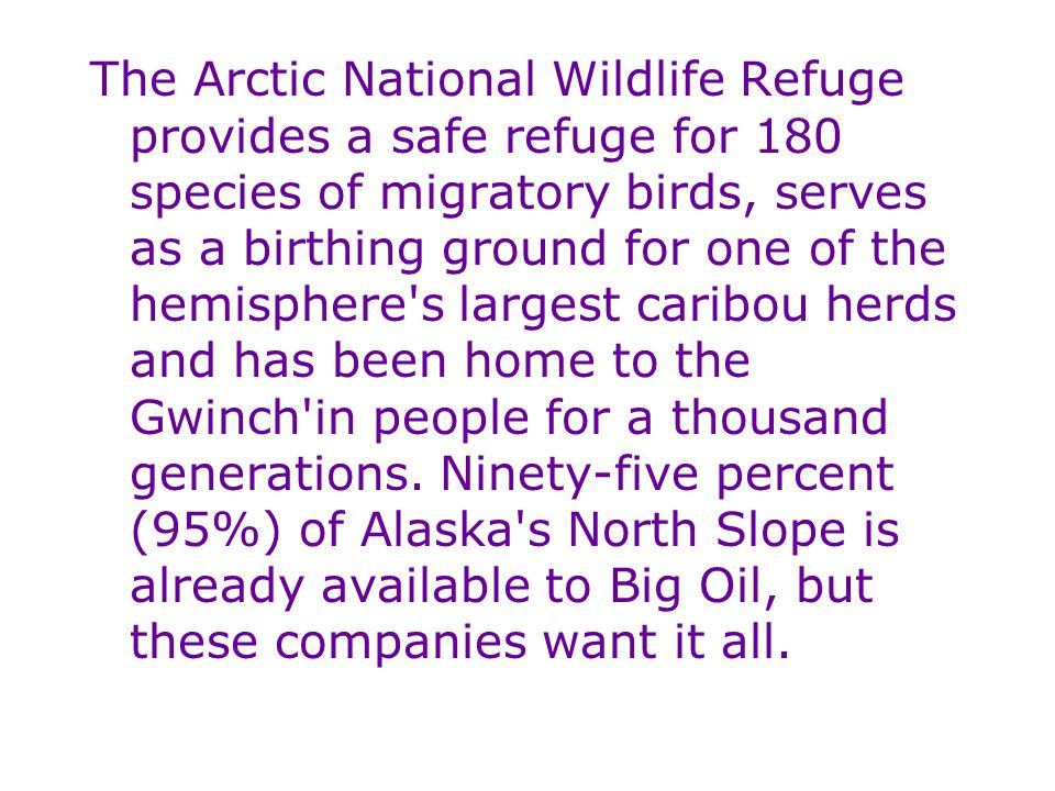 The Arctic National Wildlife Refuge provides a safe refuge for 180 species of migratory birds, serves as a birthing ground for one of the hemisphere s largest caribou herds and has been home to the Gwinch in people for a thousand generations.