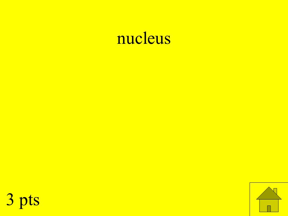 nucleus 3 pts