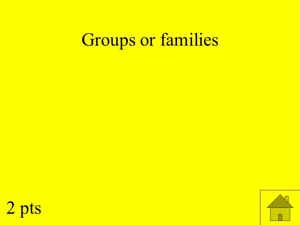 Groups or families 2 pts