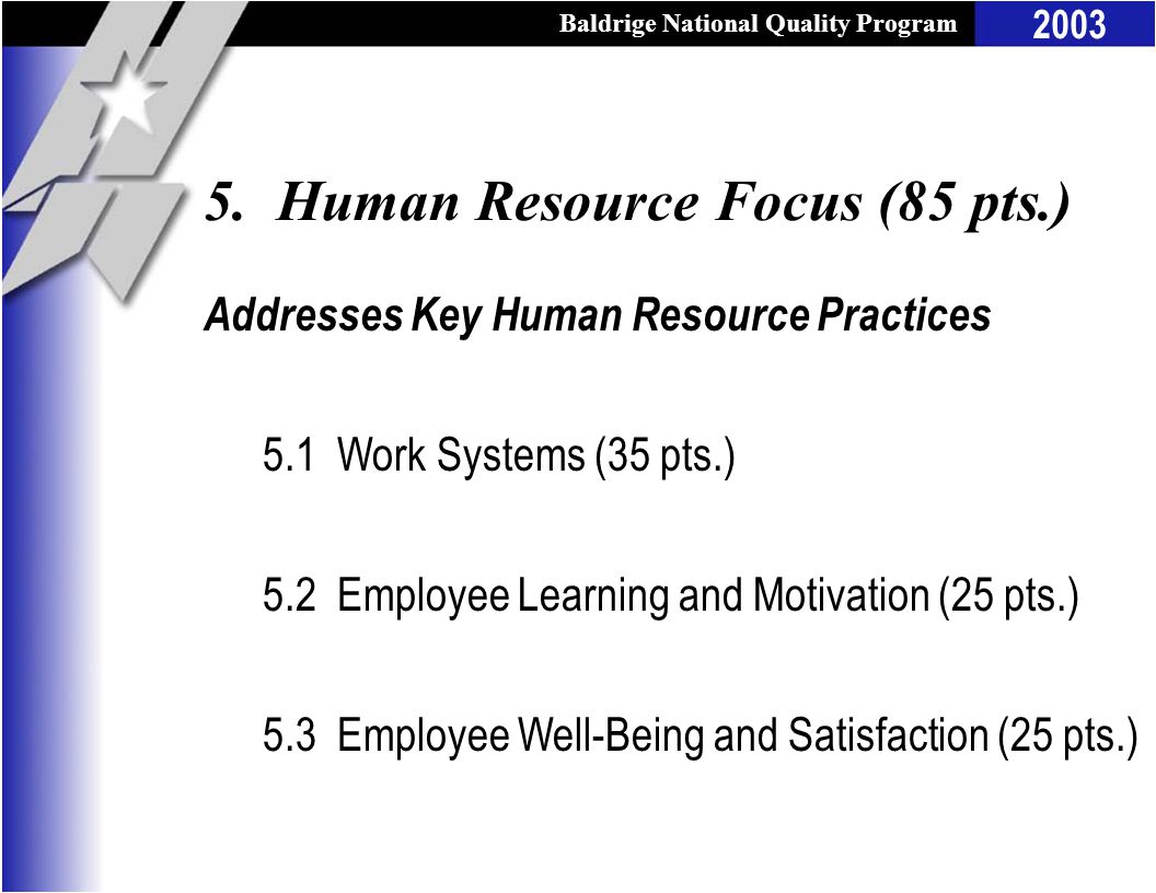 Baldrige National Quality Program 2003 Addresses Key Human Resource Practices 5.1 Work Systems (35 pts.) 5.2 Employee Learning and Motivation (25 pts.) 5.3 Employee Well-Being and Satisfaction (25 pts.) 5.