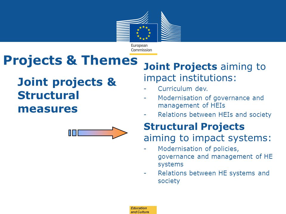 Date: in 12 pts Projects & Themes Joint projects & Structural measures Joint Projects aiming to impact institutions: -Curriculum dev.
