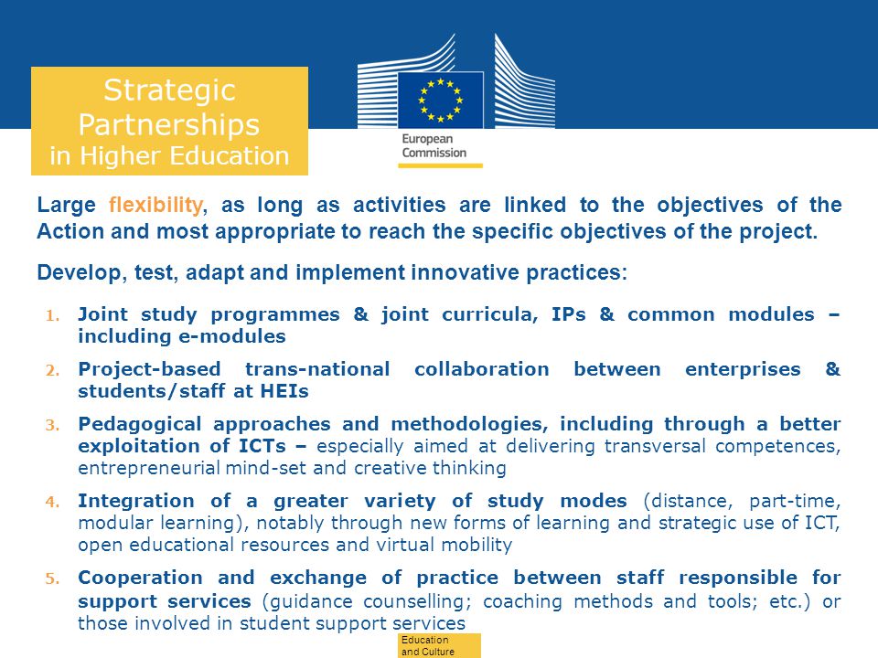 Date: in 12 pts Strategic Partnerships in Higher Education Large flexibility, as long as activities are linked to the objectives of the Action and most appropriate to reach the specific objectives of the project.