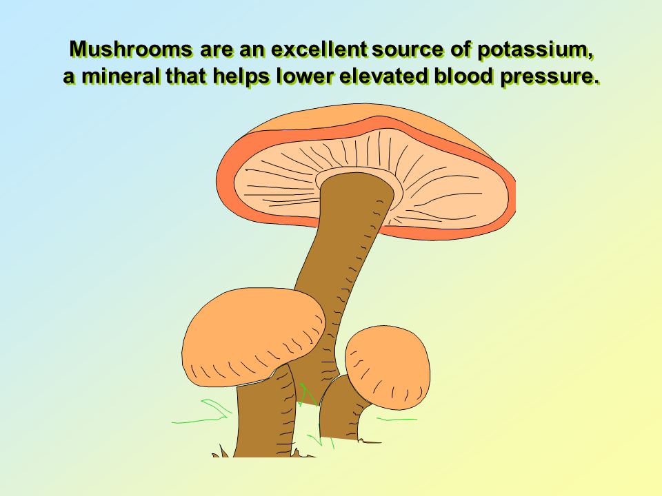 Mushrooms are an excellent source of potassium, a mineral that helps lower elevated blood pressure.