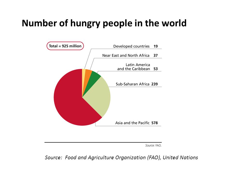 Number of hungry people in the world Source: Food and Agriculture Organization (FAO), United Nations