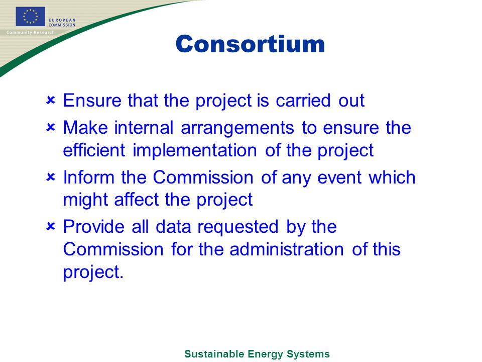 Sustainable Energy Systems Consortium  Ensure that the project is carried out  Make internal arrangements to ensure the efficient implementation of the project  Inform the Commission of any event which might affect the project  Provide all data requested by the Commission for the administration of this project.