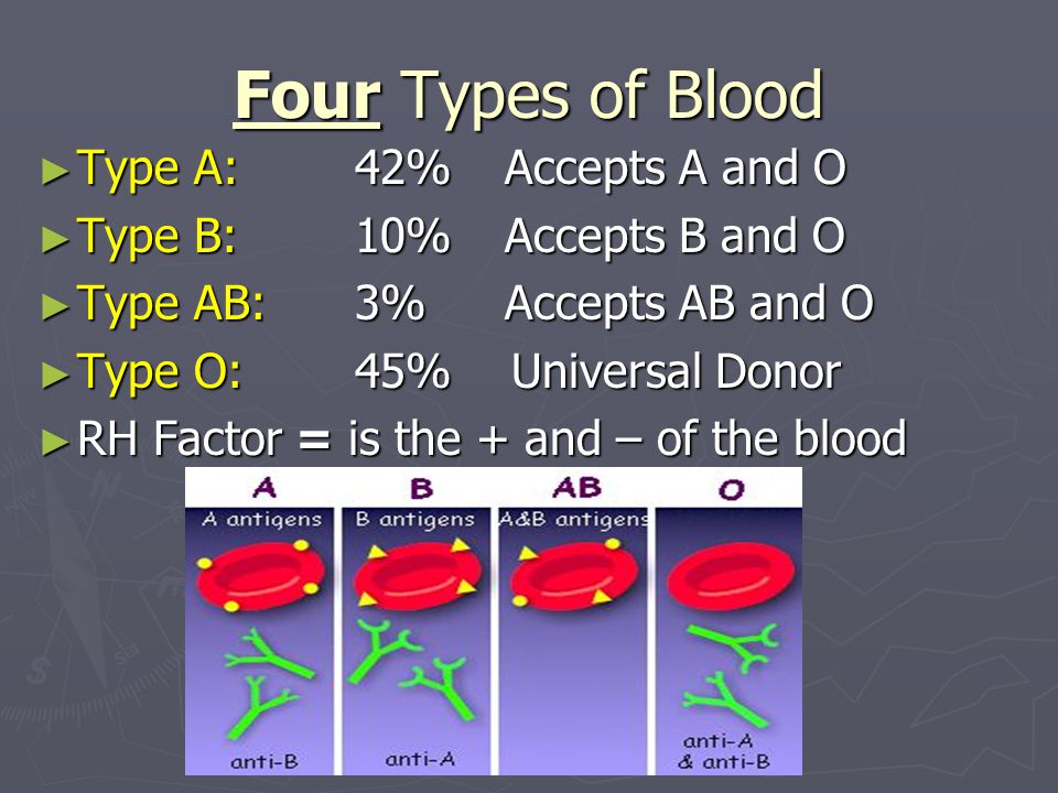 Four Types of Blood ► Type A: 42% Accepts A and O ► Type B: 10% Accepts B and O ► Type AB: 3% Accepts AB and O ► Type O:45% Universal Donor ► RH Factor = is the + and – of the blood