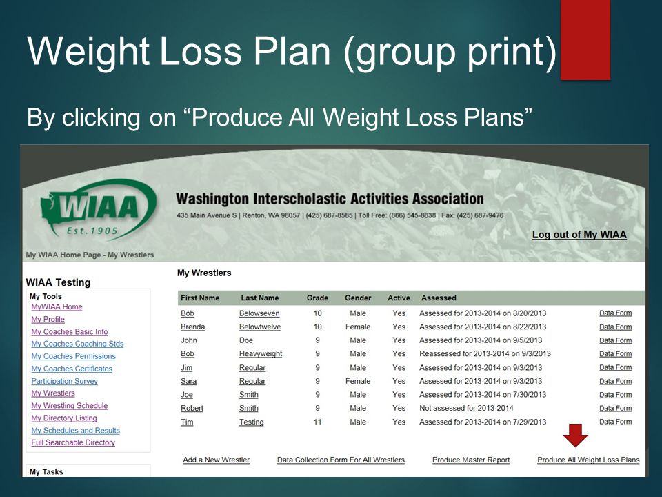 What is the best pill for fast weight loss image 8