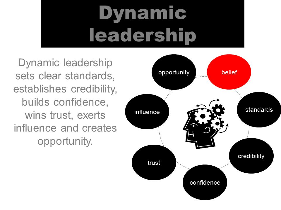 Dynamic leadership Dynamic leadership sets clear standards, establishes credibility, builds confidence, wins trust, exerts influence and creates opportunity.