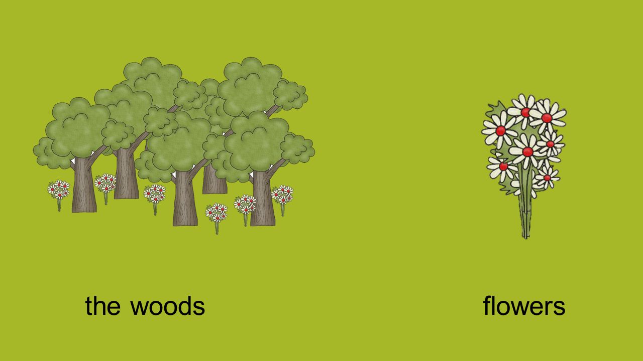 the woodsflowers