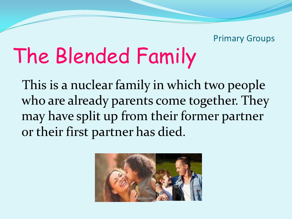 Sibling Family A sibling family is family of children with no adults.