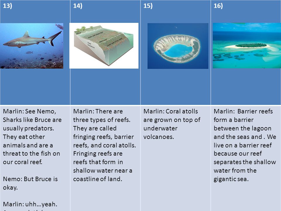 13)14)15)16) Marlin: See Nemo, Sharks like Bruce are usually predators.
